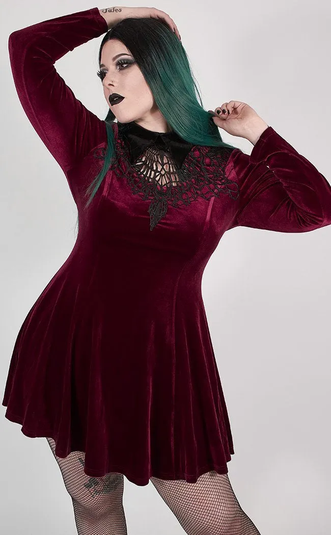 Ensnared Velvet Dress | Red | Plus Size