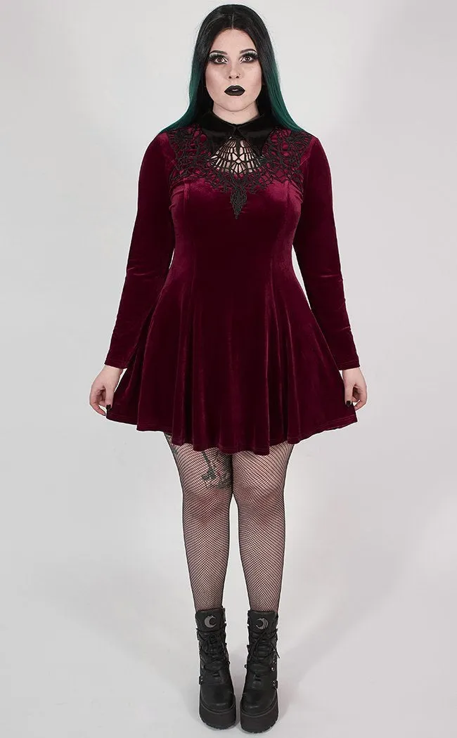 Ensnared Velvet Dress | Red | Plus Size