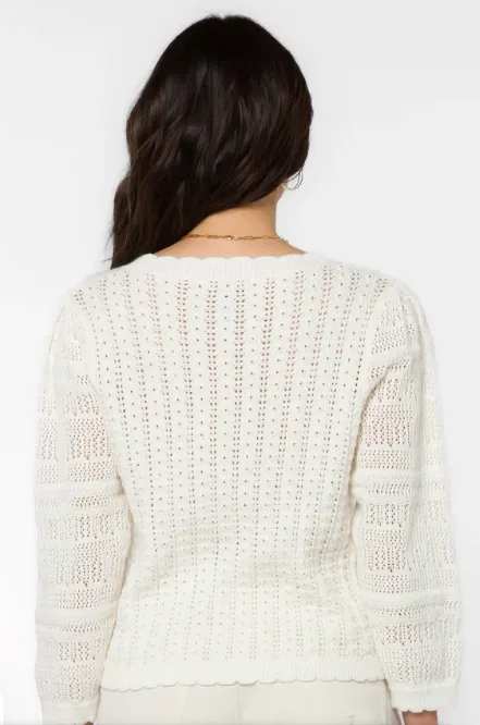 Velvet Heart Gazelle Sweater